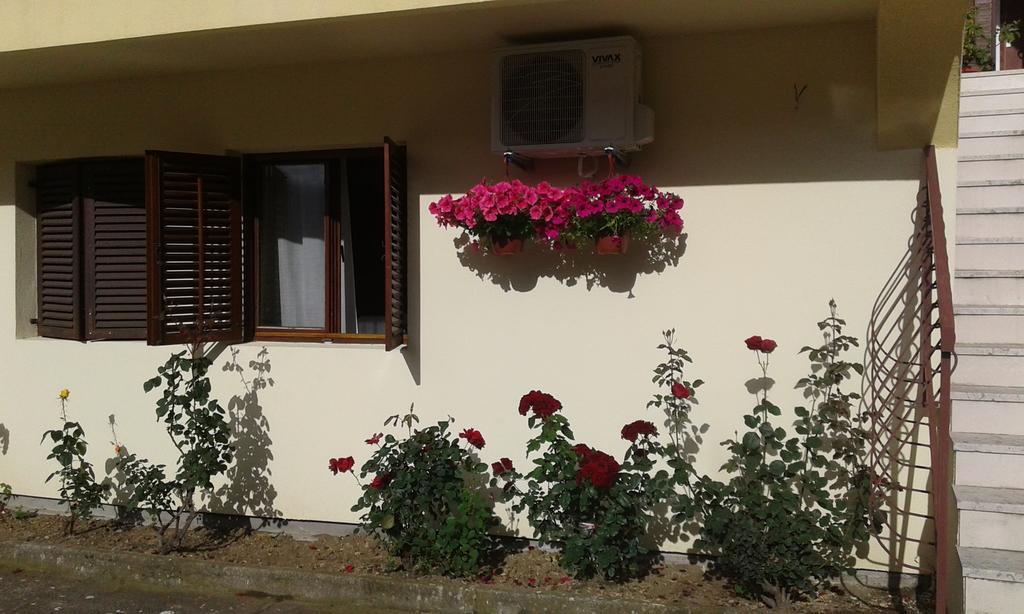 Apartment Adela Kotor Exterior foto