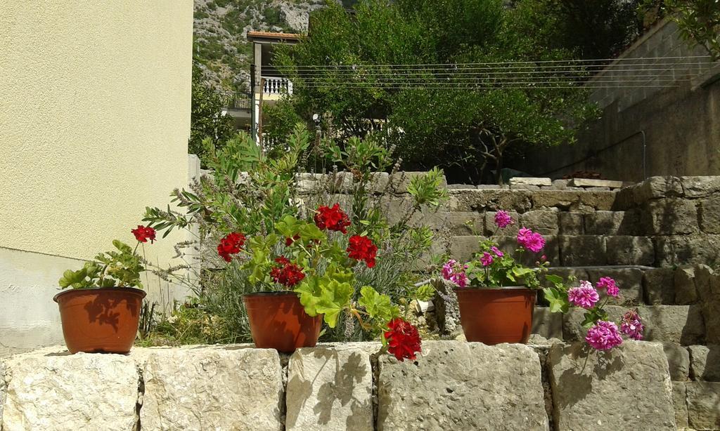 Apartment Adela Kotor Exterior foto